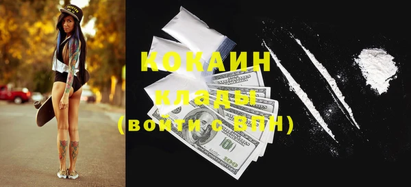 тгк Ладушкин
