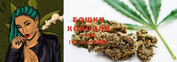 ГАЛЛЮЦИНОГЕННЫЕ ГРИБЫ Лабытнанги