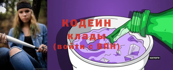 тгк Ладушкин