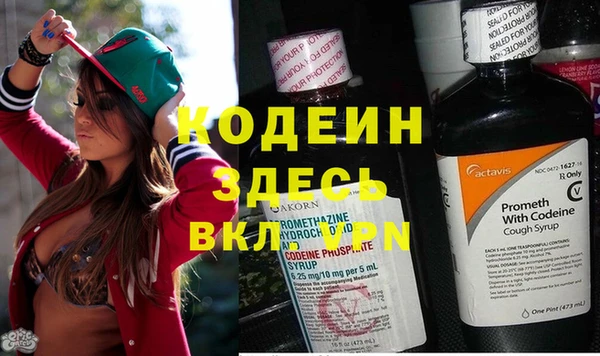 ГАЛЛЮЦИНОГЕННЫЕ ГРИБЫ Лабытнанги