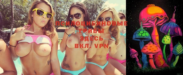 тгк Ладушкин