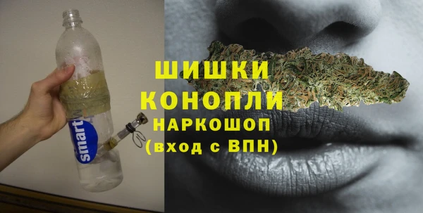 apvp Лиски