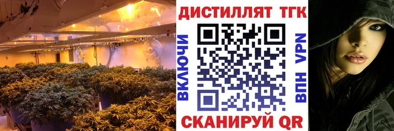 купить   Суворов  ТГК жижа 